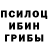 Псилоцибиновые грибы ЛСД James Angelo