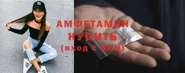 индика Покров