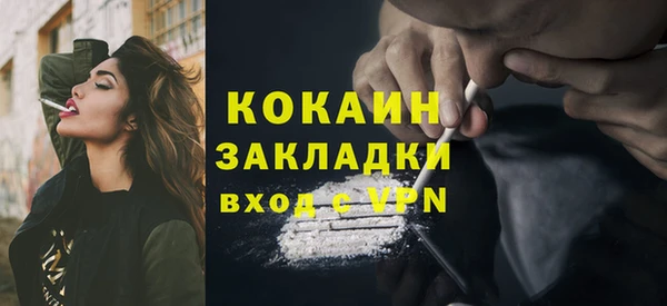 индика Алексин