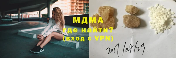 индика Алексин