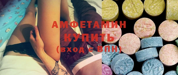 индика Алексин