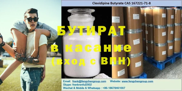 индика Алексин