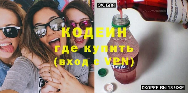 индика Алексин