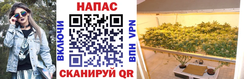 Шишки марихуана OG Kush  Опочка 